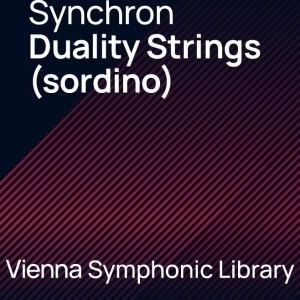 VSL Synchron Duality Strings (sordino) mise à niveau