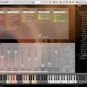 VSL Synchron World Winds Standard