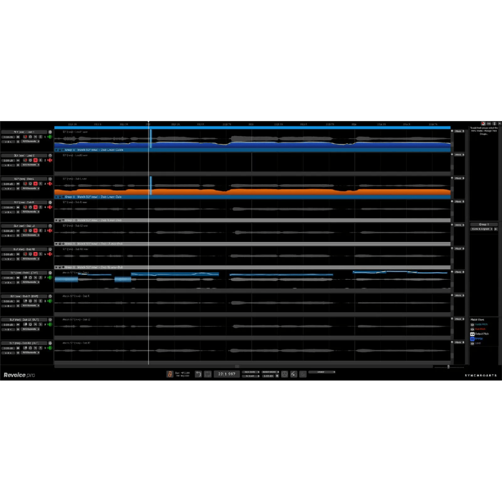 Synchro Arts - CROSSGRADE VERSION - Revoice Pro 5