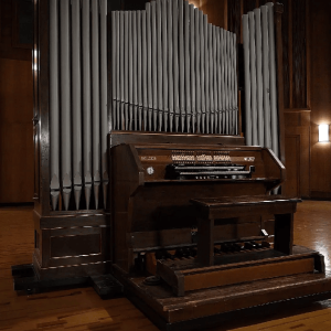 VSL Synchron Molzer Organ Standard