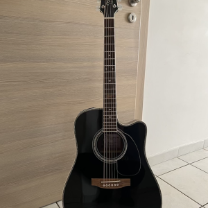 Takamine SW341SC Steve Wariner Electro Acoustic, Black