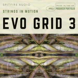 Spitfire Audio Offre Education Evo Grid 3