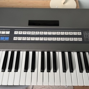 Roland JX-8P + DT800