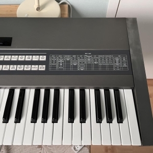 Roland JX-8P + DT800