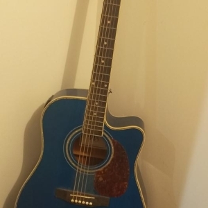 WS Guitare électro acoustique