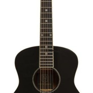 J.n Guitars Bes-a Mini Bk