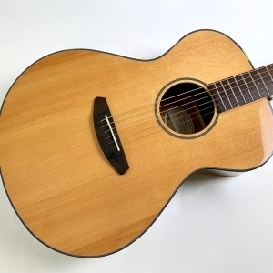 Breedlove Discovery Concert 2016 Natural