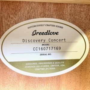 Breedlove Discovery Concert 2016 Natural