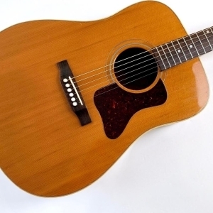 Gibson Gospel AV 1994 Natural