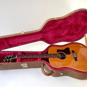 Gibson Gospel AV 1994 Natural