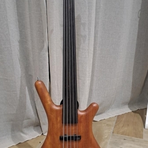 Basse warwick fretless 5 corded