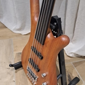 Basse warwick fretless 5 corded