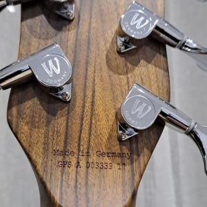 Basse warwick fretless 5 corded