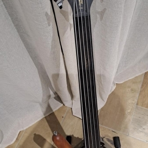 Basse warwick fretless 5 corded