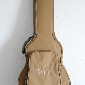 Guitare TaylorT5z