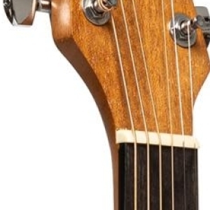 Stagg Sa25 Ace Spruce