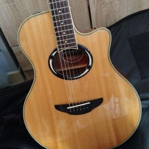 Yamaha APX 500 III