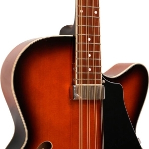 Gold Tone Mandocello