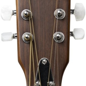 J.N Guitars Ew3000cbk