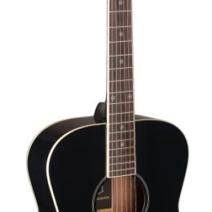 J.n Guitars Bes-a Bk