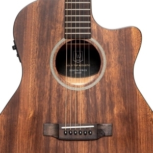 J.n Guitars Dov-acfi