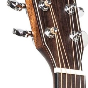 J.n Guitars Dov-acfi