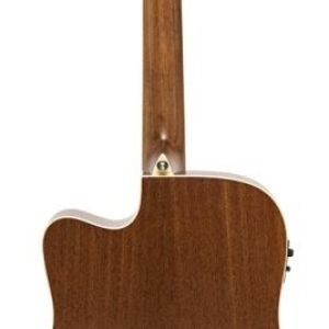 J.n Guitars Ezr-dcfi