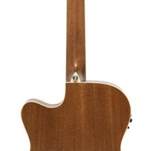 J.n Guitars Ezr-omcfi