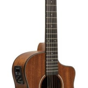 J.n Guitars Olo-ce N