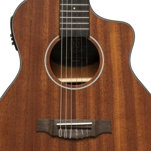 J.n Guitars Olo-ce N