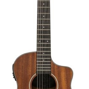 J.n Guitars Olo-ce N