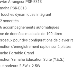 Yamaha PSR E-313 - Clavier arrangeur