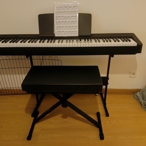 Yamaha P-145B