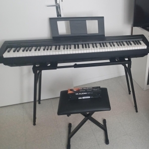 Yamaha P-45