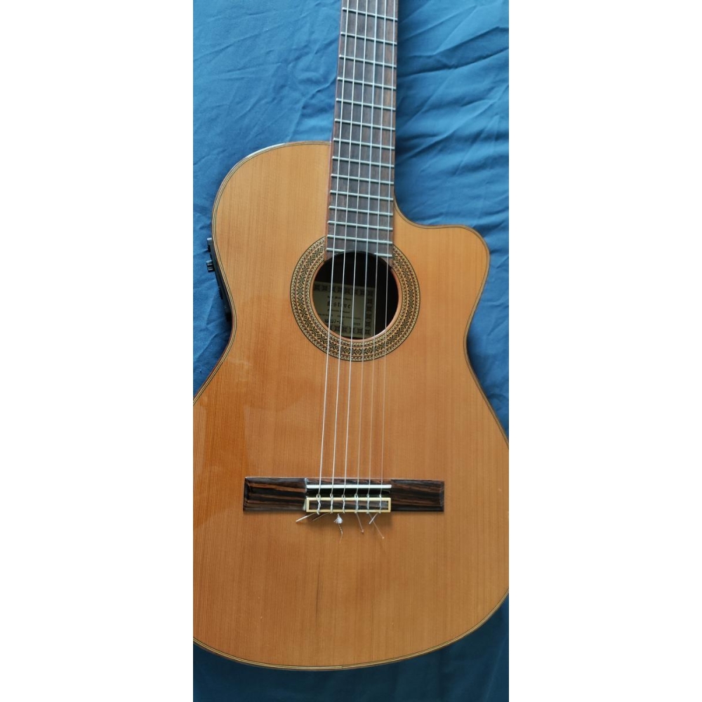 Esteve 1GR07CE -  Guitare électro classique