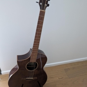 Ibanez AEW40LCD-NT B