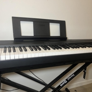 Yamaha p45