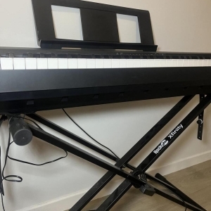 Yamaha p45