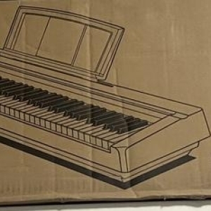 Yamaha p45