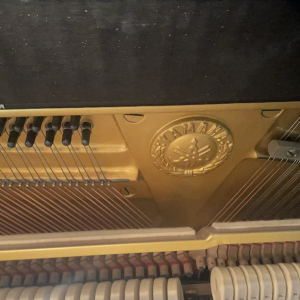 Yamaha U1