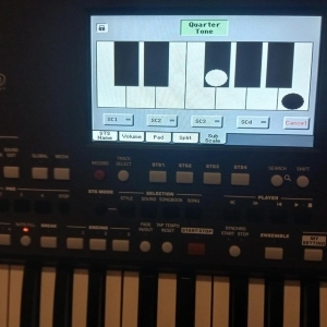 Korg pa600