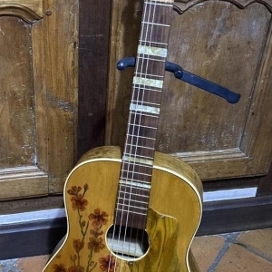 Musima Guitare