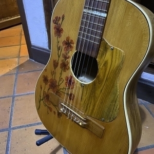 Musima Guitare