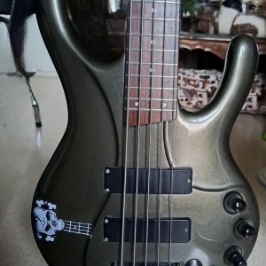 Ibanez EDC 705 ergodyne