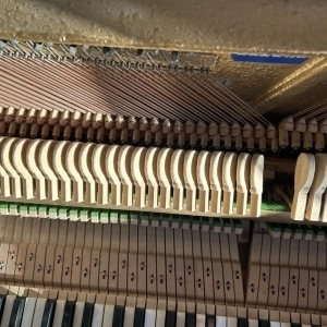 Pleyel piano acoustique d'étude blanc parme