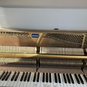 Pleyel piano acoustique d'étude blanc parme