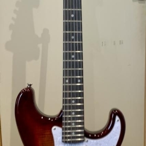 Washburn Sonomaster Deluxe