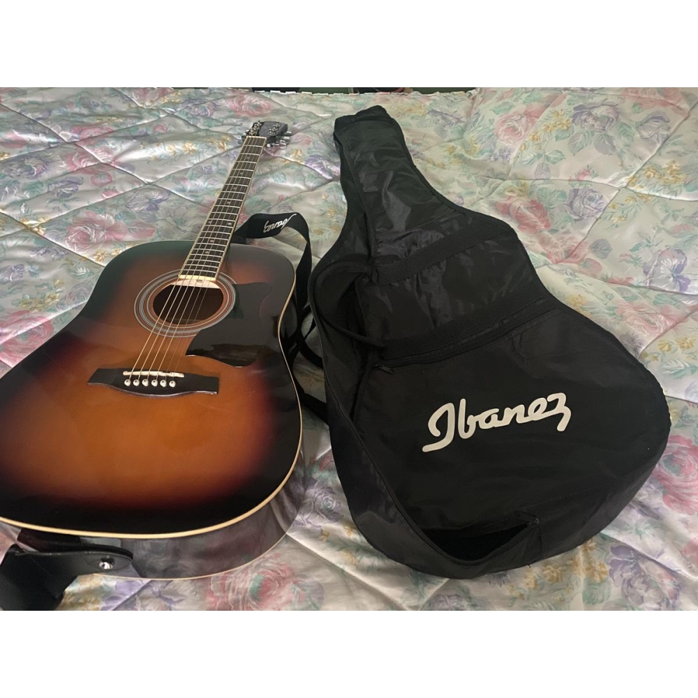 Ibanez Guitare Folk