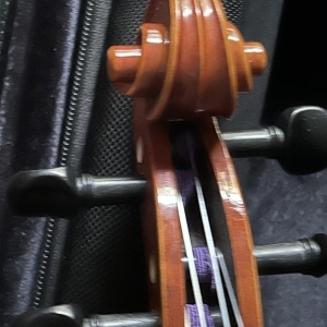 Alto Viola 38cm + étui Bam et 2 archets