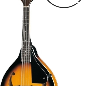 QMAN-10 SB SUNBURST